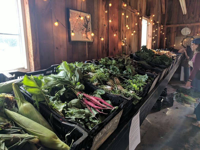Vegetables And Eggs Round Out The Farm Haul