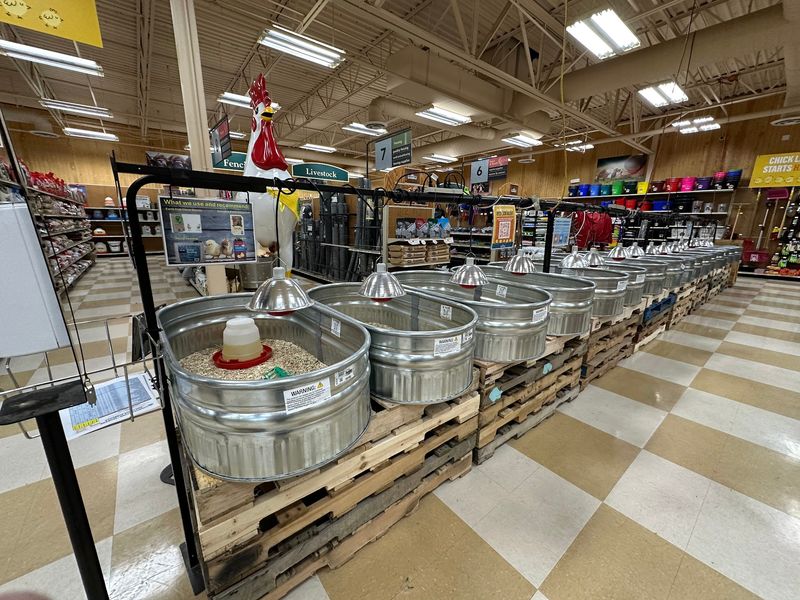 A Full Lineup Of Feed For Farm Animals Big And Small