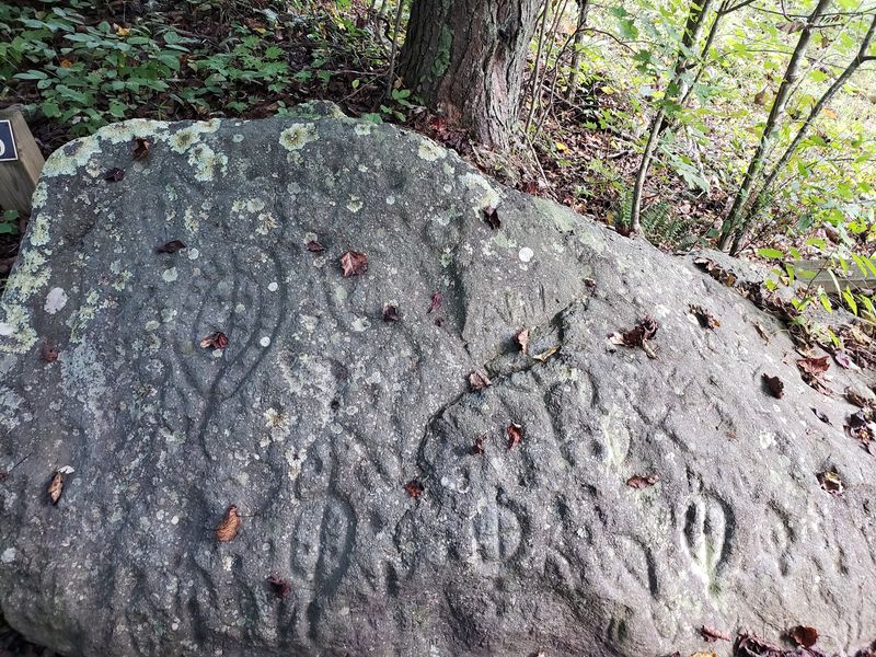 Track Rock Gap Petroglyph Site, Blairsville