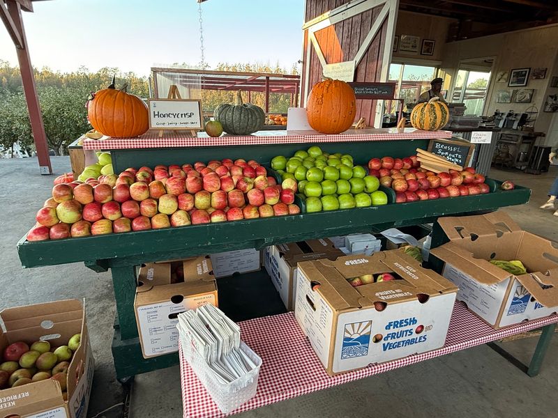 10 California Apple Orchards To Visit As Picking Season Gets Underway - Decor Hint Clearview Orchards, Watsonville