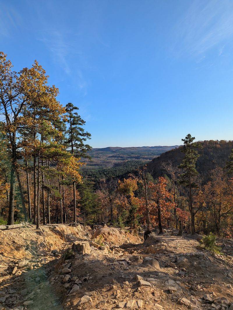Time Your Visit For The Sweet Spot Between Summer Heat And Bare Trees