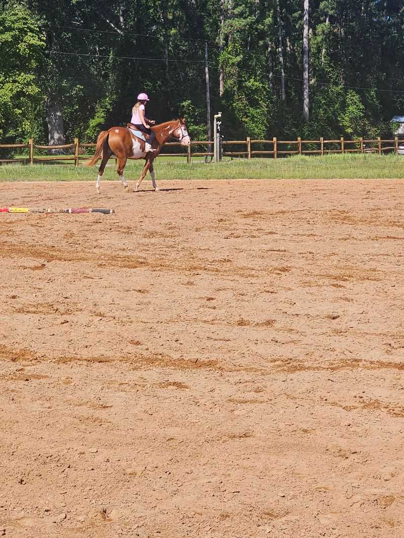 Finish By Untacking And Caring For The Horse
