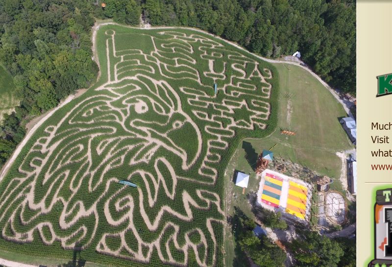 Bring The Kids For Much More Than Just The Maze