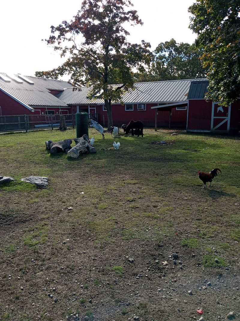 Leave The Farm Thriving