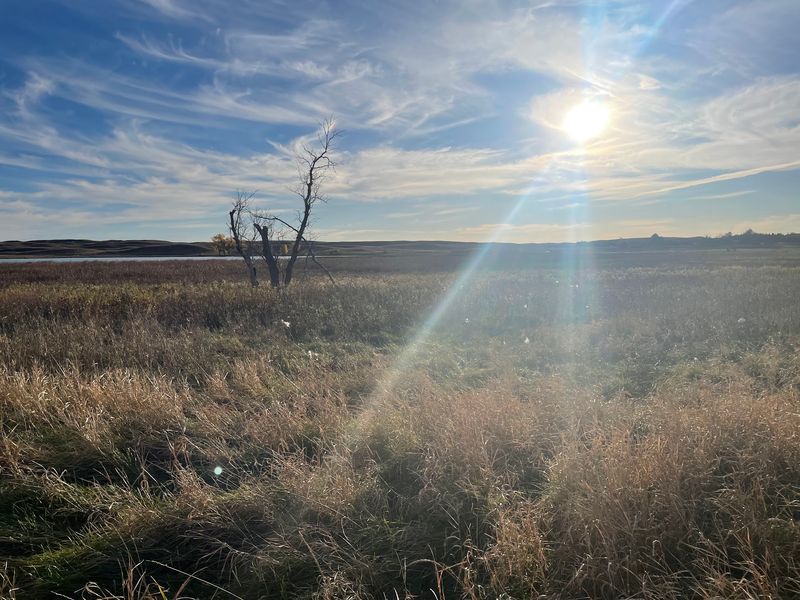 Ticks, Tall Grass and Long Pants