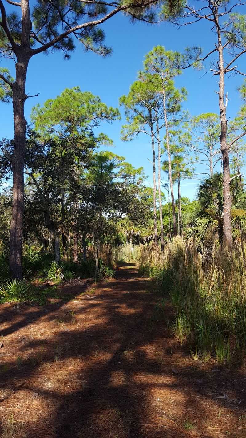 Gordon River Greenway