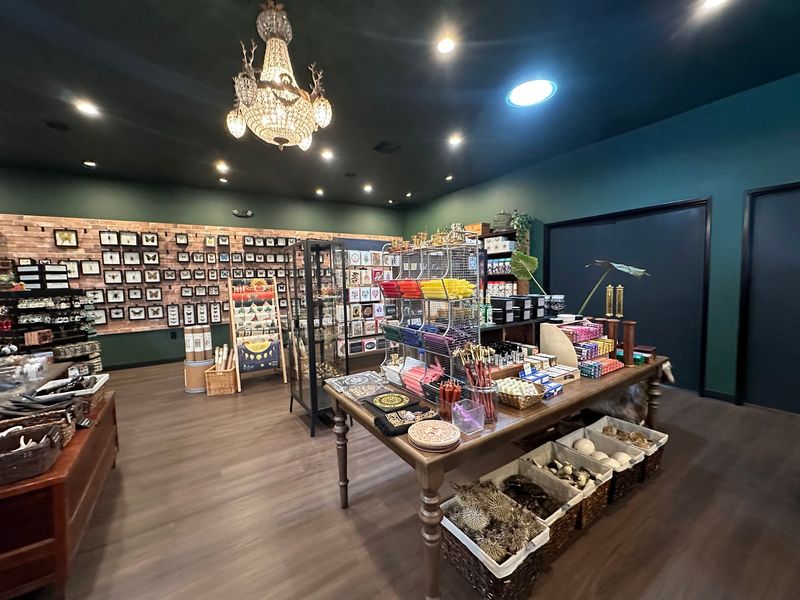 A Shop Built For Curious Browsing