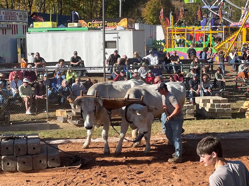 Farm Animals Keep Agriculture At The Heart Of It