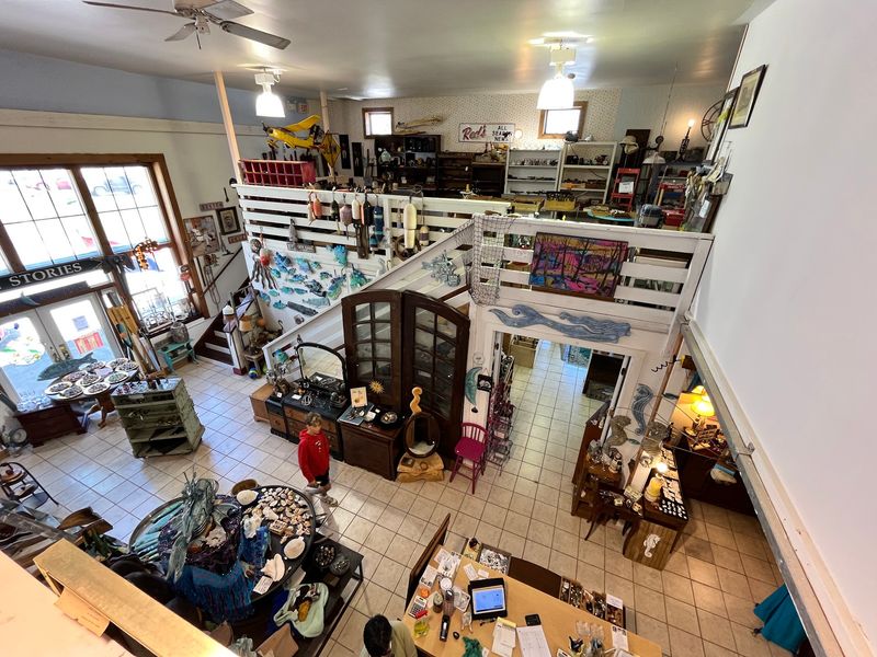 Lily The Shop Dog Has Her Own Welcoming Committee