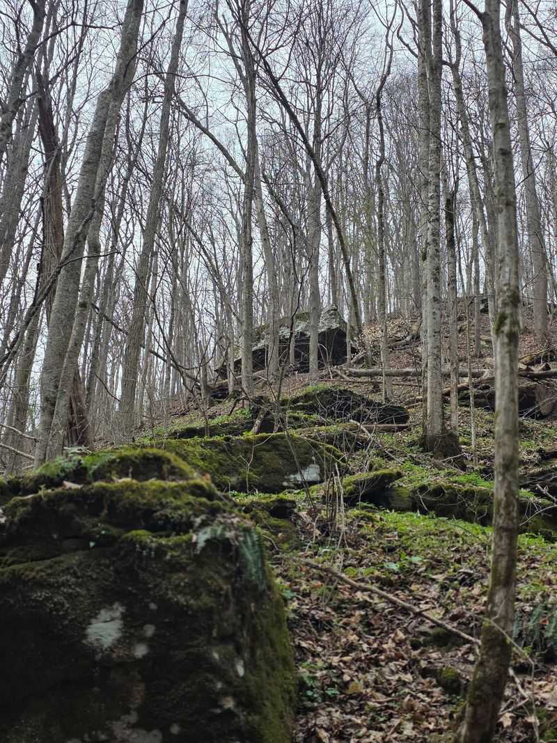 10 Must-Try West Virginia Hikes, Ranked From Gentle To Challenging - Decor Hint Big Branch Trail, Hinton