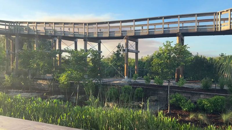 Walkways Above The Sawgrass