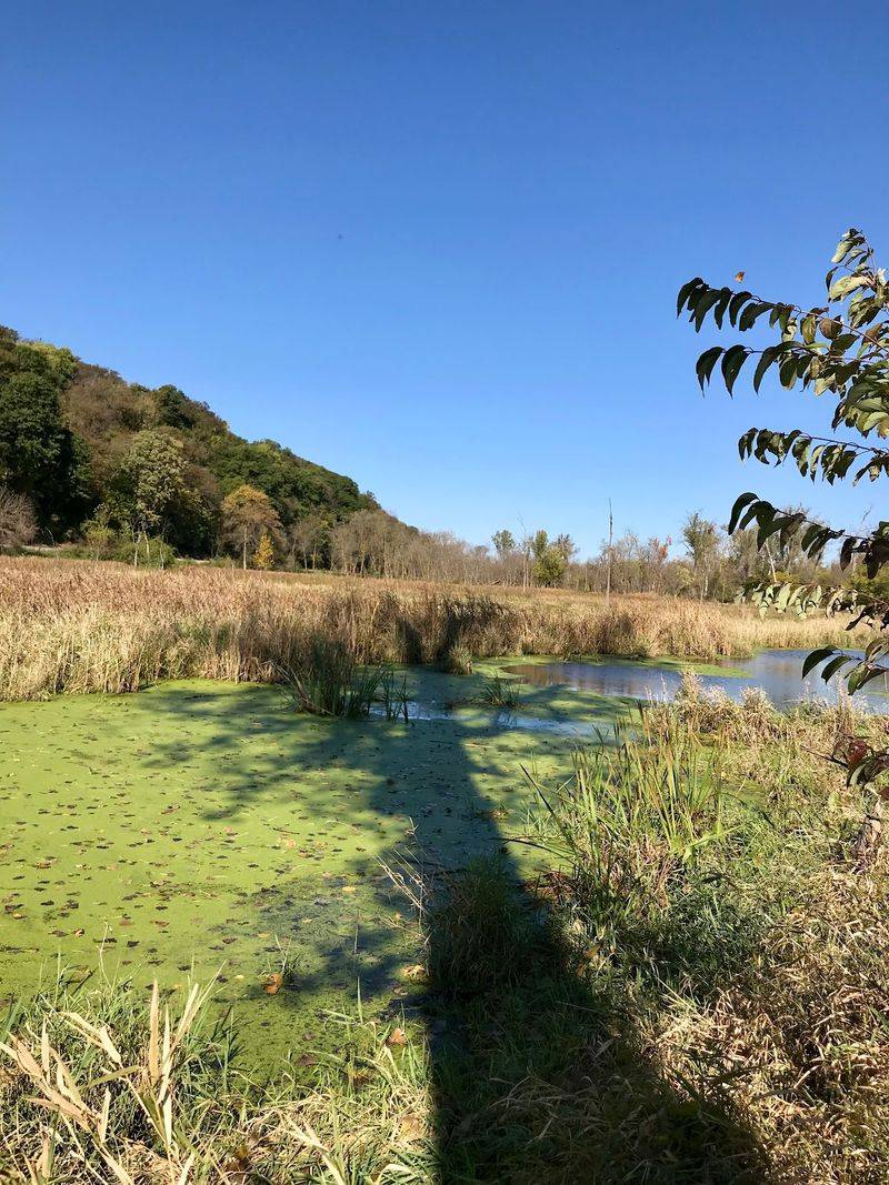 Nearly A Mile Of Boardwalk Through This Nebraska Forest Ends At A Marsh Lookout - Decor Hint Turtles, Hawks, and Whatever Else Shows Up