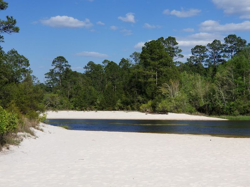 11 Florida Campgrounds So Well Secluded Even Most Residents Miss Them - Decor Hint Blackwater River State Park, Holt