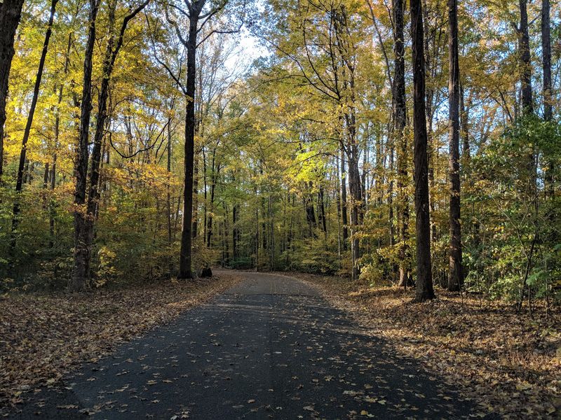 Meeman-Shelby Forest State Park, Millington