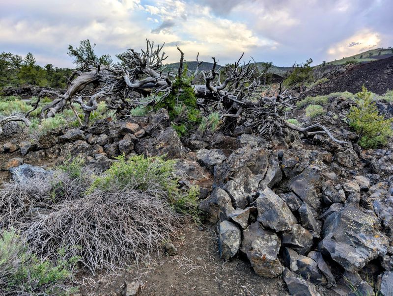 Some Of Idaho’s Most Fascinating Lava Tubes Hide Beyond The Usual Turnaround Point - Decor Hint Ghosts Of Ancient Trees