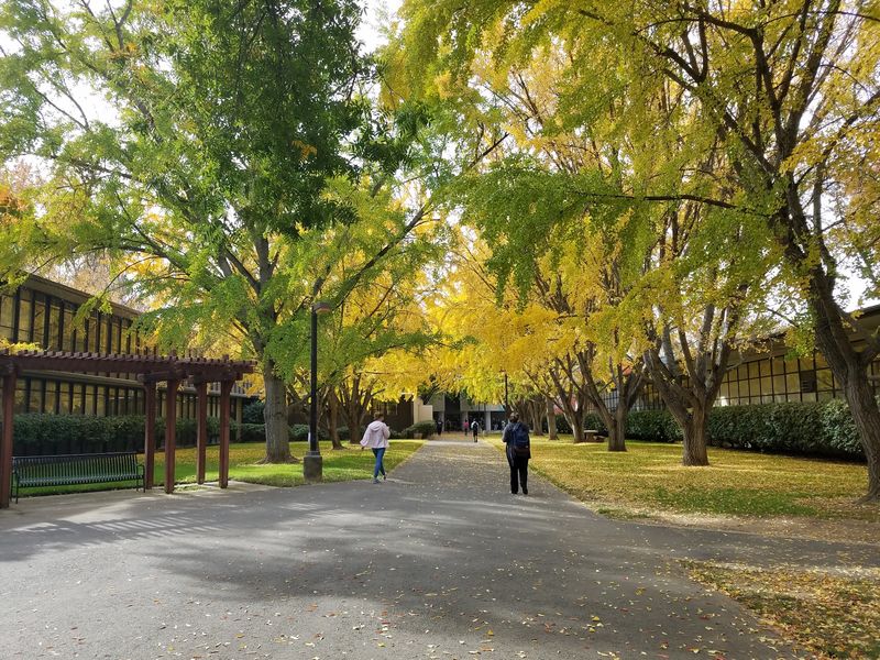 California State University Sacramento Brings A Large Student And Young Adult Population