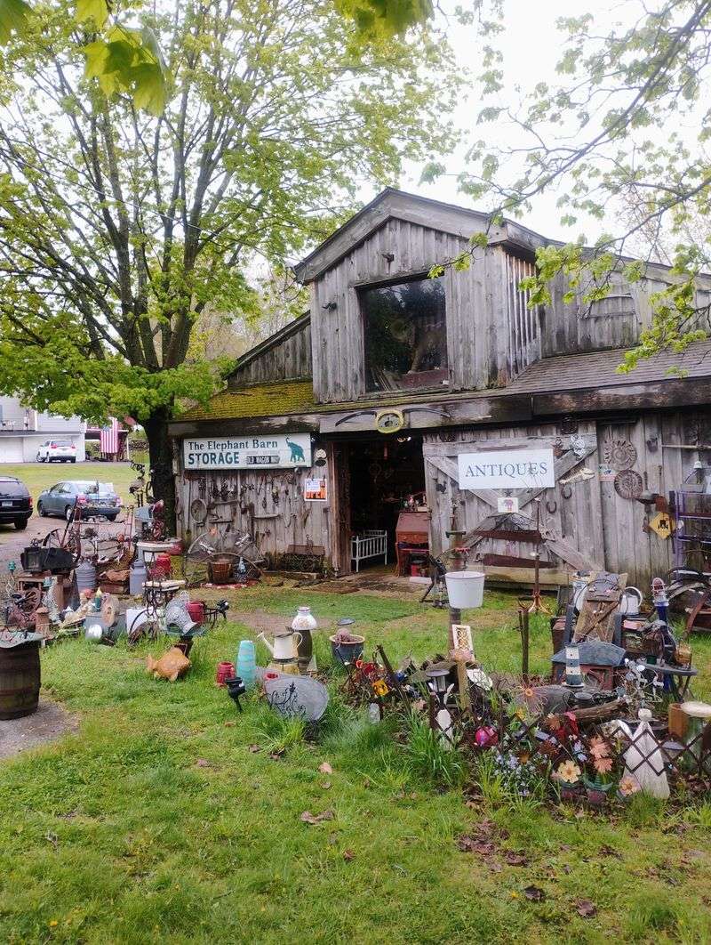 The Elephant Barn, Wolcott