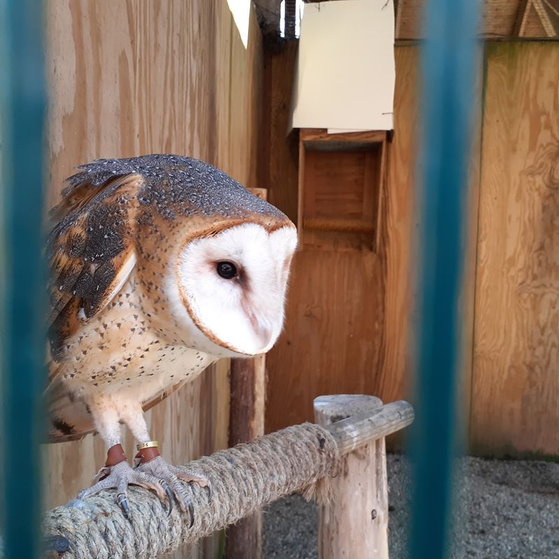 Connecticut Audubon Society Fairfield Nature Center, Fairfield
