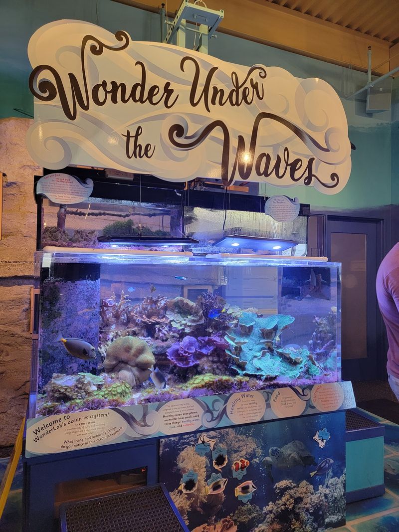 WonderLab Museum, Bloomington