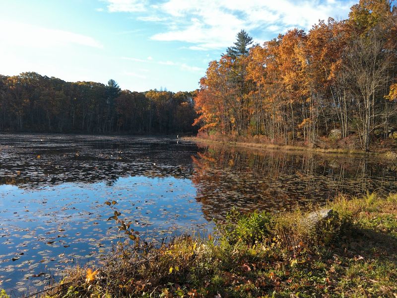 Peak Color Turns The Summit Into The Finale
