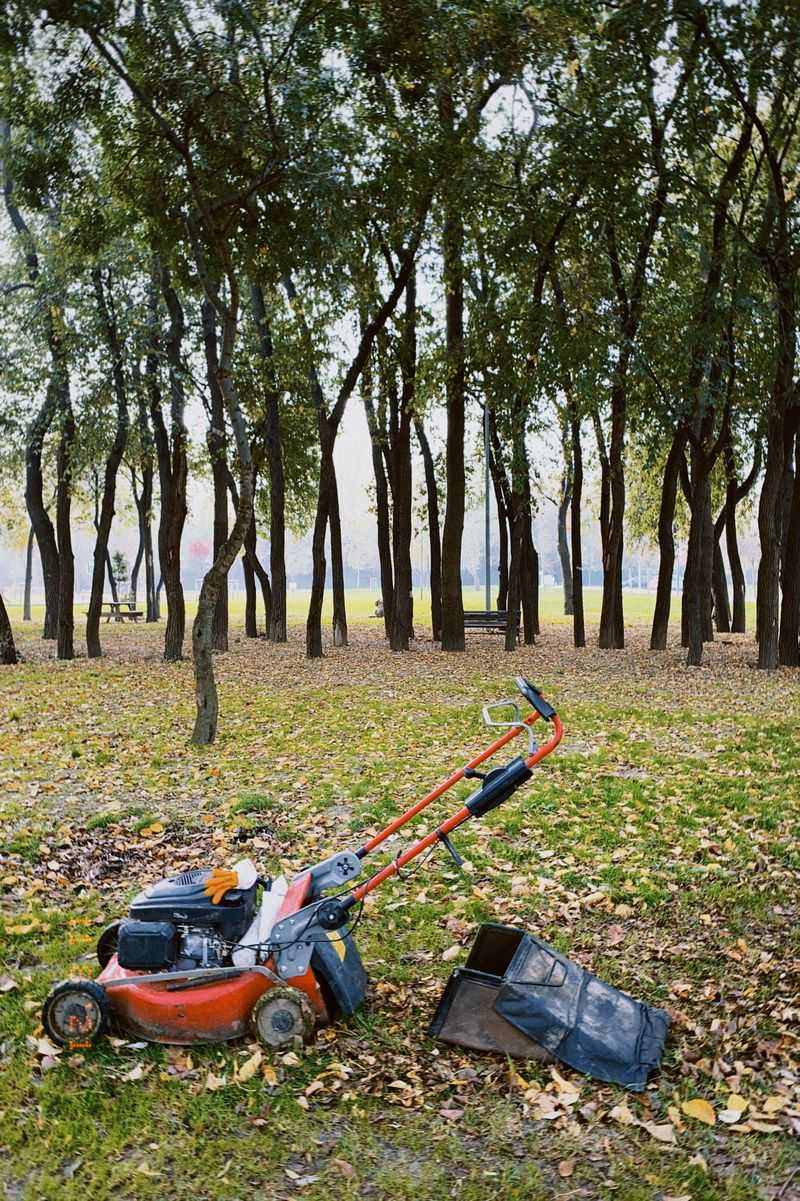 Fall Yard Work Disturbs The Cover They Use