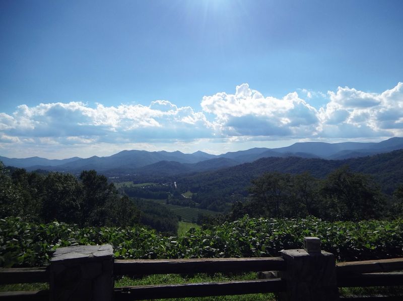 This Tiny Georgia Mountain Town Sits Above 3,000 Feet And Turns Gorgeous Every Fall - Decor Hint Rabun Bald's 360-Degree Summit Views