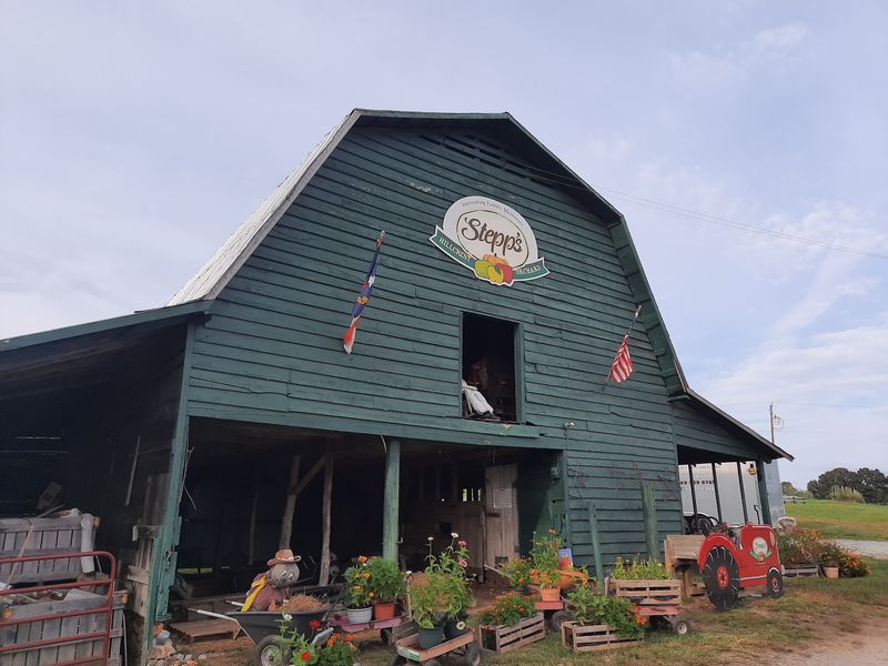 Stepp's Hillcrest Orchard, Hendersonville