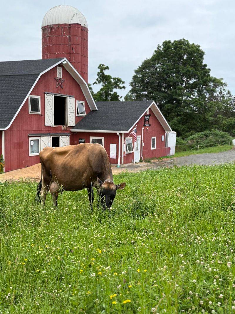 Quiet Farmland Completes The Back-Road Experience
