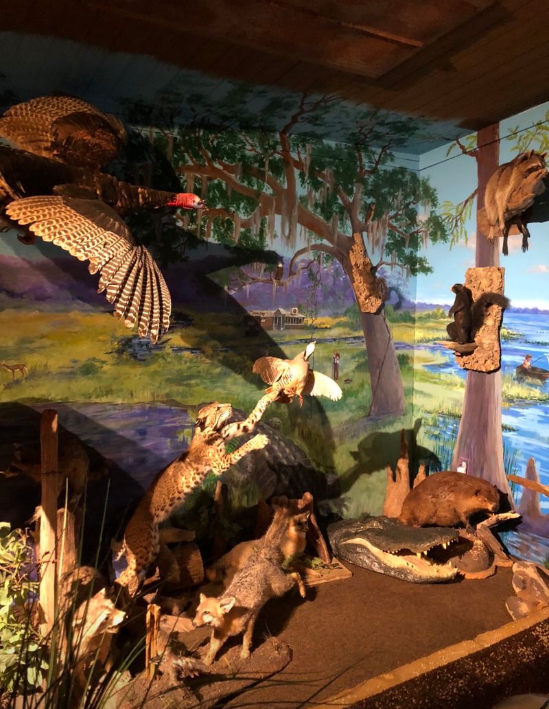Fried Quail, Game Birds, and the Rawlings Connection