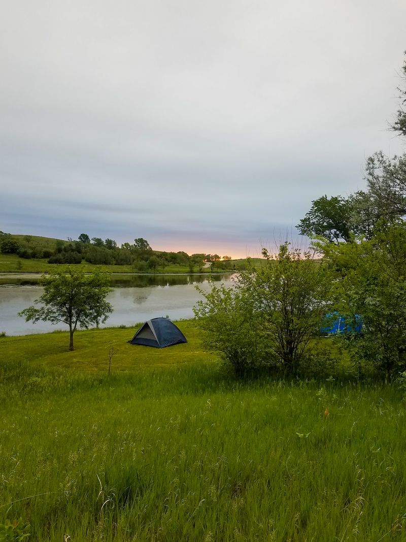 Campsites Spread Out Under Mature Trees