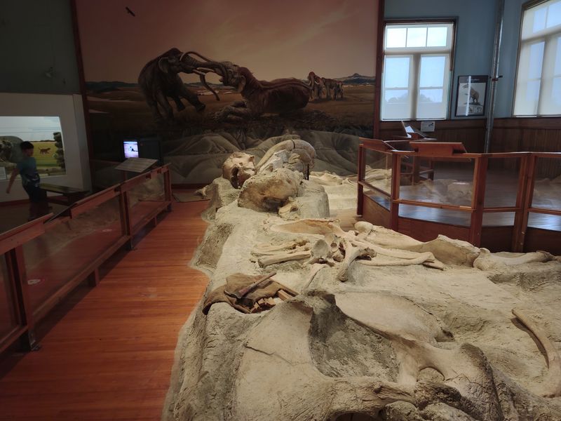 Who the Museum Suits Best