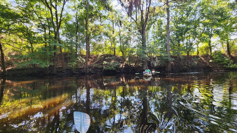 These 12 Free North Carolina Coastal Camping Spots Feel Like Places You Were Never Supposed To Find - Decor Hint Croatan National Forest Dispersed Camping Near the White Oak River