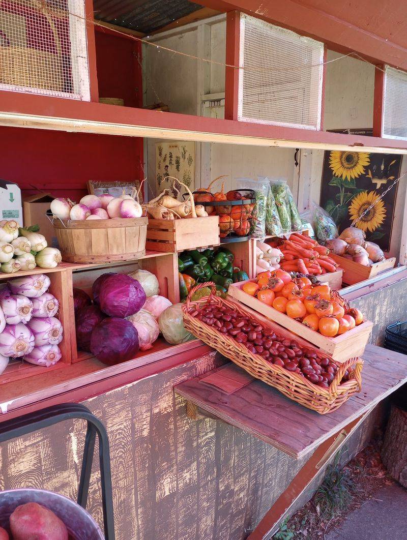 Sea Goat Grows Some Of The Produce Right On Its Own Micro-Farm