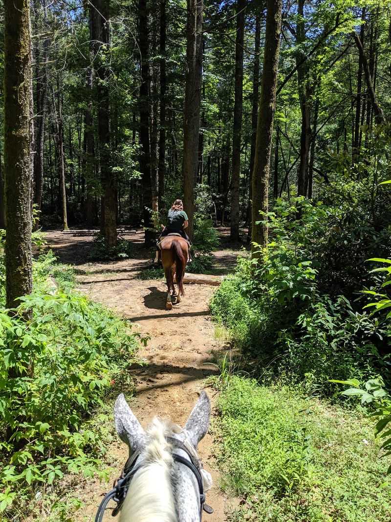 Choose A Longer Ride If You Want More Time In The Mountains