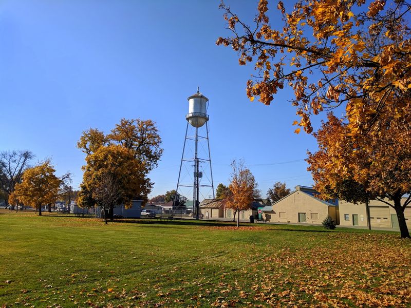 Emmett's Harvest Delights