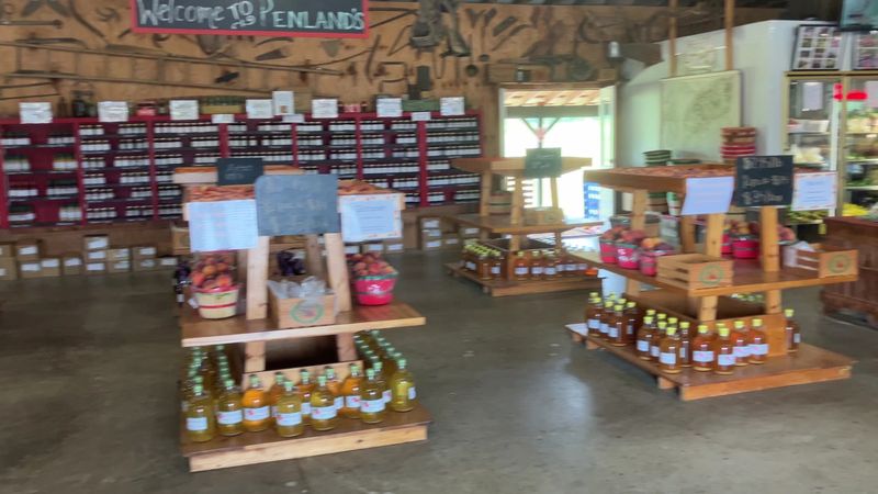 Georgia Has A Country Farm Market With Shelves Full Of Homemade Pies - Decor Hint Creamy Scoops And Sweet Squares To End The Visit