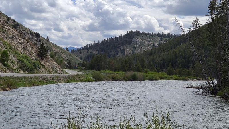 Eagles, Otters, And Pronghorn Too