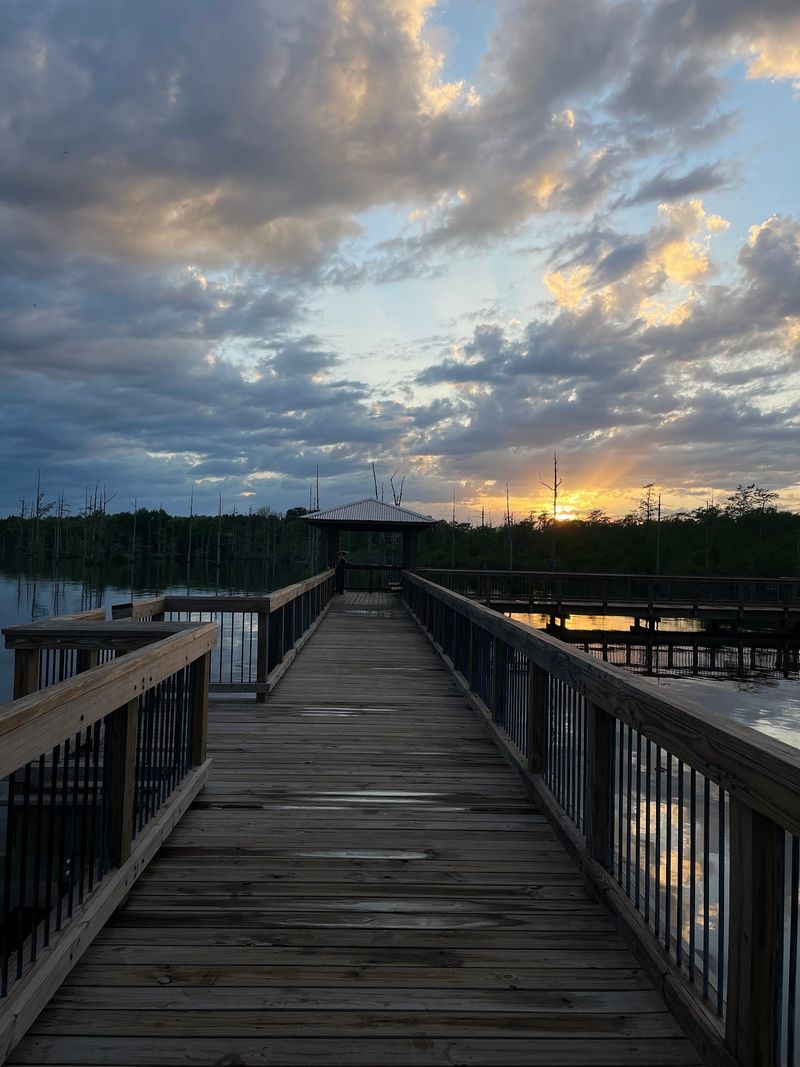 This Louisiana River Town Feels Like A Quiet Affordable Escape With Homes Under $200,000 - Decor Hint Pine Trails And Fishing Ponds At Kiroli Park
