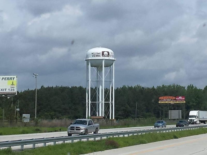 Vienna, Dooly County