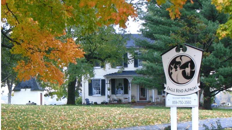 Pack Your Tote And Visit These 10 Cozy Kentucky Yarn Shops - Decor Hint Eagle Bend’s Yarn And Fiber Shop