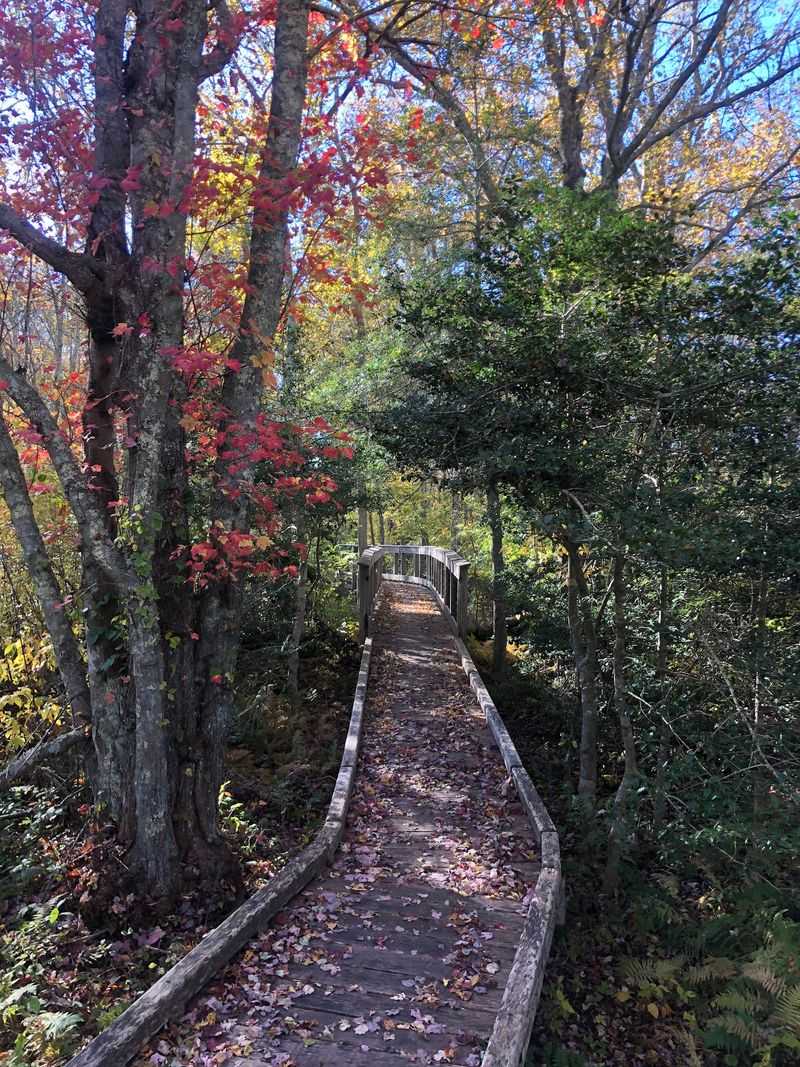Hope's Path At Whitehead Preserve, Little Compton