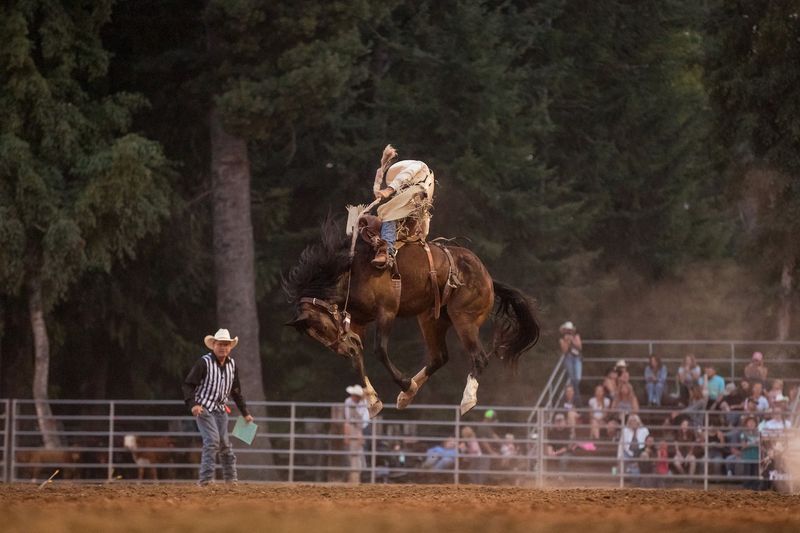 10 Idaho Rodeos So Wild They’re Worth Planning A Road Trip Around - Decor Hint Sandpoint PRCA Rodeo - Sandpoint