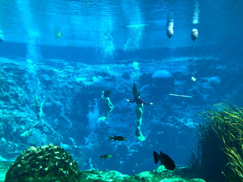 Eleven Florida State Parks Where the Swimming Holes Stay 11 Degrees All Year - Decor Hint Weeki Wachee Springs State Park