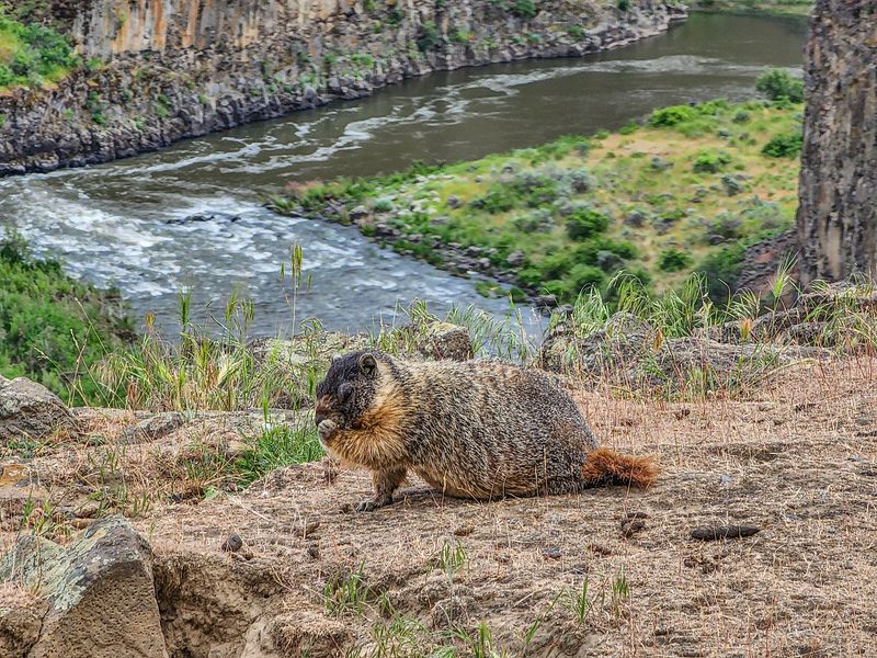 10 Affordable Washington Day Trips That Feel Breathtaking For Under $60 - Decor Hint Palouse Falls State Park