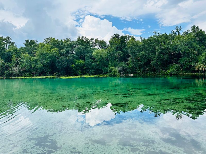A Spring-Fed Pool Inside the Ocala National Forest