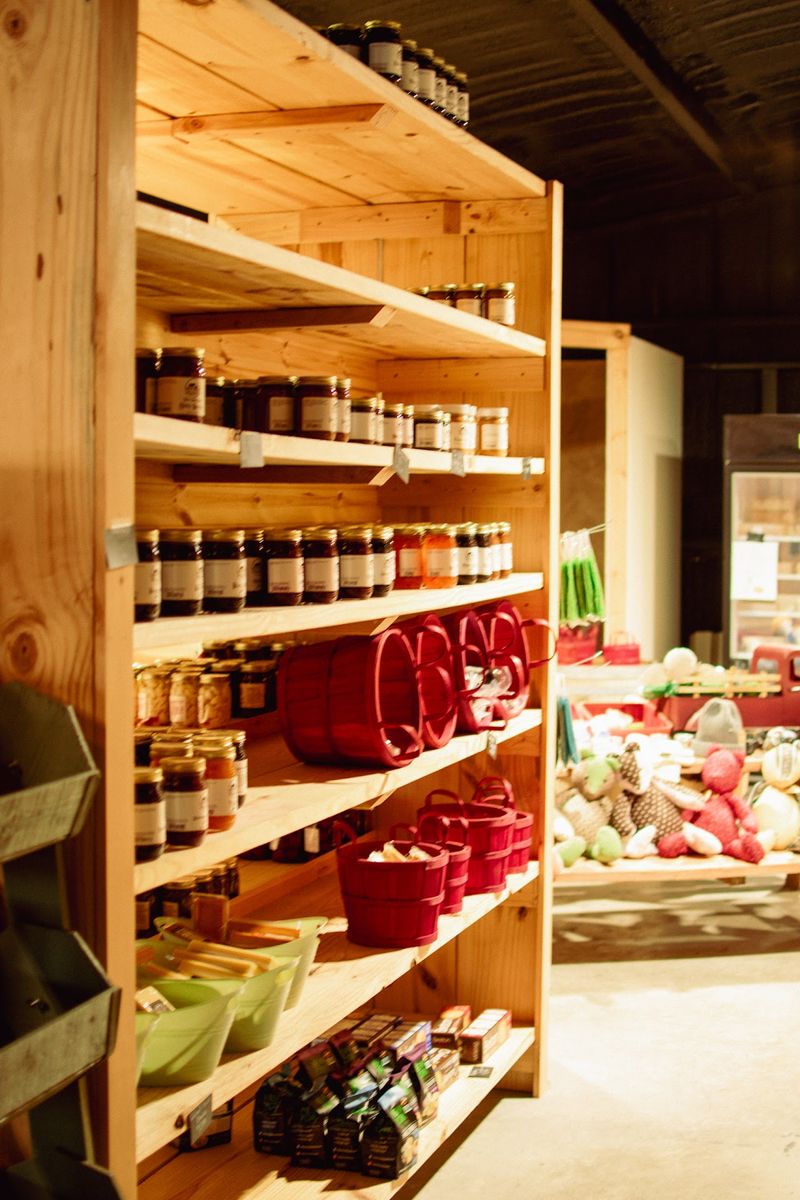 Jars, Jams, And Pantry Gold