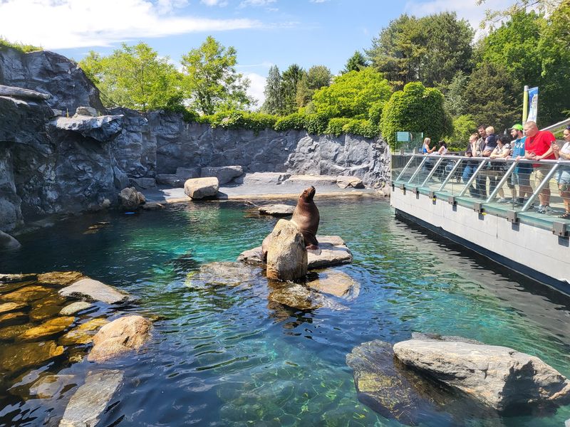 Mystic Aquarium, Mystic