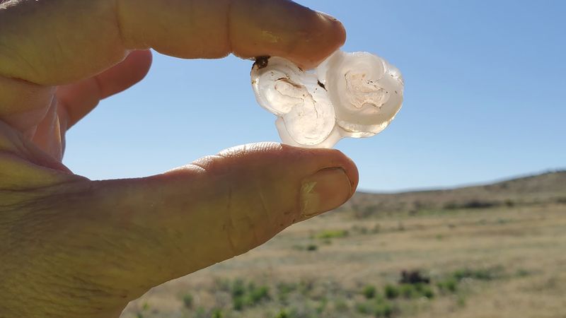 This Free Arizona Rockhounding Area Is A Treasure Hunt For Anyone Willing To Dig - Decor Hint Pack For Remoteness, Not Convenience
