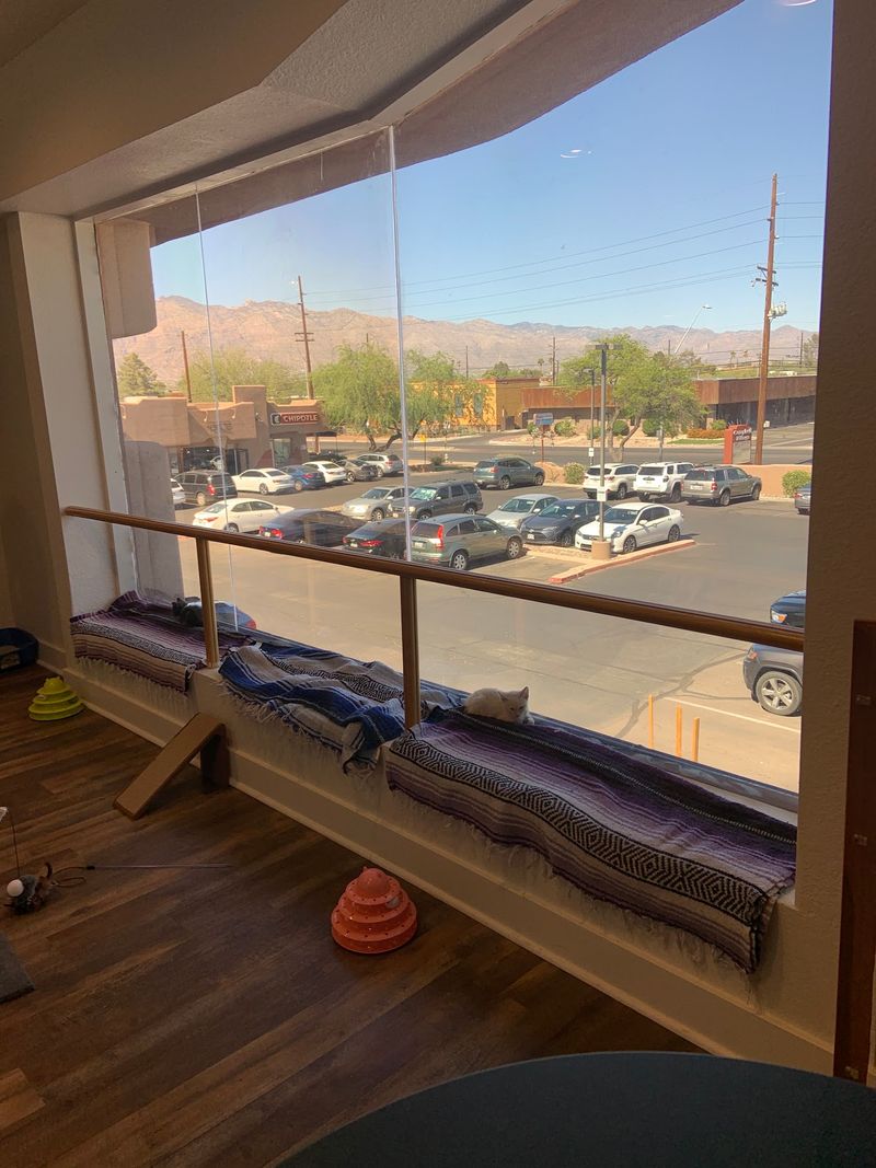 Yoga, Bingo, And Crochet
