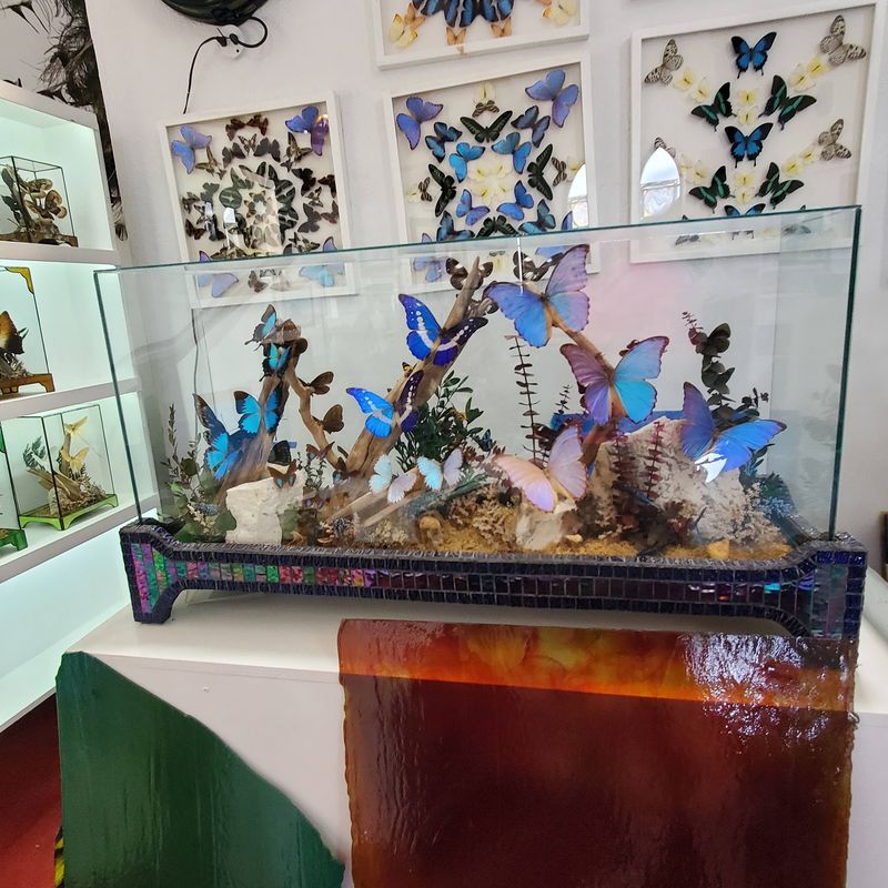 This Little-Known Maine Shop Has Thousands Of Pieces Of Antique Stained Glass - Decor Hint Butterflies Behind The Glass